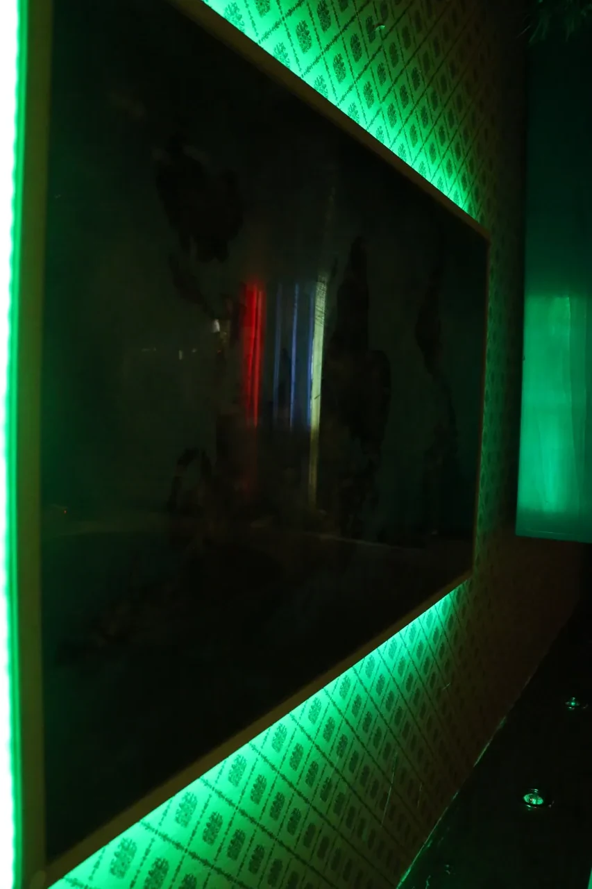 Escape room Njeno Visočanstvo — Door 404 Novi Sad, scena 8