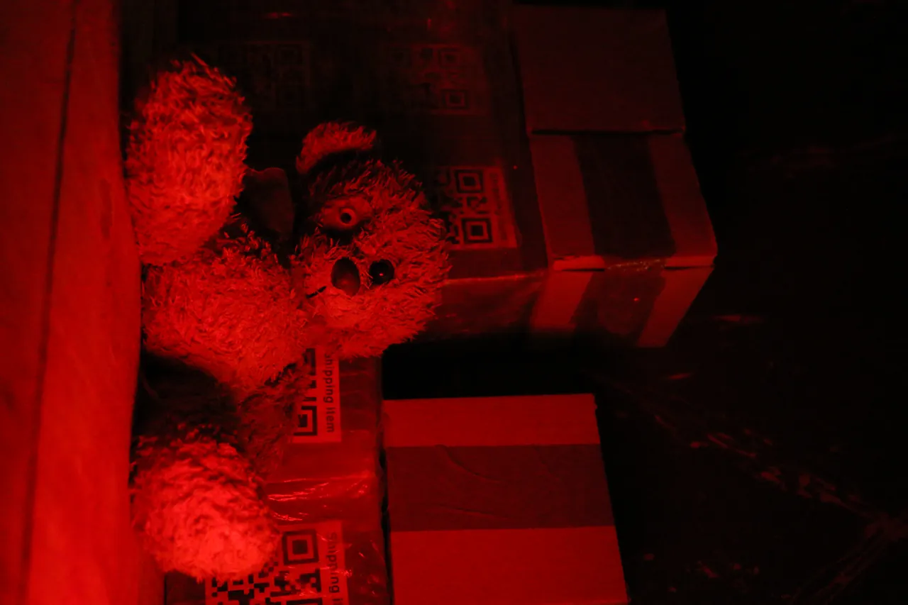 Escape room Selektor — Door 404 Novi Sad, scena 10